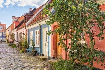 Aalborg Private Half Day Tour from Cruise Port