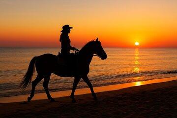 Horseback Riding and Swimming on a Desert Beach in Hurghada