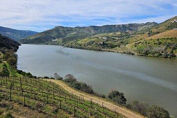 Transfer between Porto and Douro Wine Region or Reverse