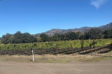 Wine Tours in Napa Valley