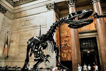 NYC American Museum of Natural History Ticket and Audio Tour