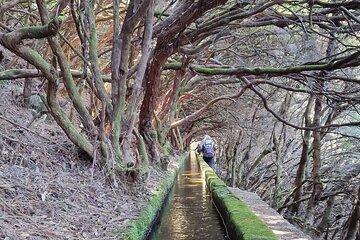 Hiking and Sightseeing in Paradise Island Private Tour