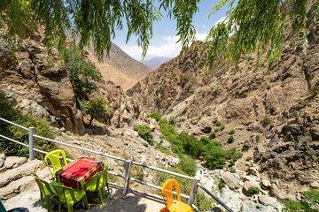 Enjoy an Authentic Ourika Valley Excursion with a Local Guide