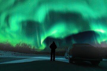 Northern Lights Hunt, Arctic Animals & a Touch of Madness