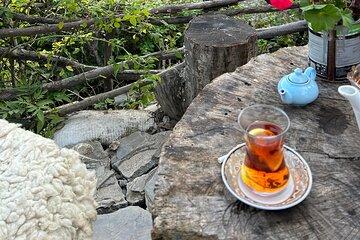 Shamakhi, Gabala & Nij Day Tour with Wine Tasting