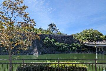 Private Walking Tour of Osaka with Local Experts