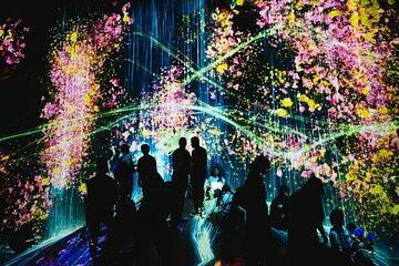 Kyoto and TeamLab Access Walking Tour
