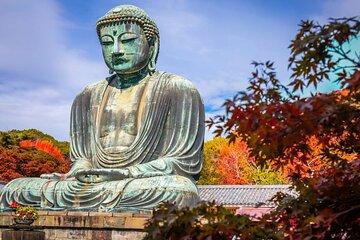 Explore Great Buddha and Temples in Kamakura Private Tour