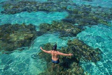 Explore the Stunning Parrachos de Rio do Fogo Reefs