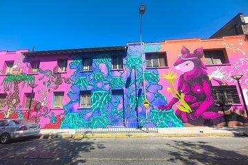 Santiago Barrio Yungay Street Art Walking Tour Experience