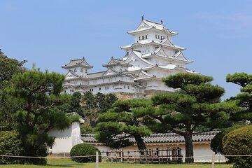 From Kyoto Premium Kobe Beef and Himeji Castle Bus Tour