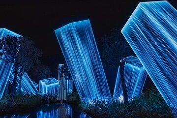 TeamLab Phenomena Abu Dhabi Experience