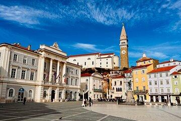 Slovene Coast and Wine Private Tour with Tastings from Ljubljana