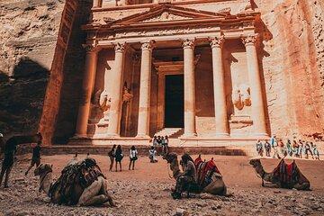 Private Full-Day Petra Tour from Amman with Hotel Pickup