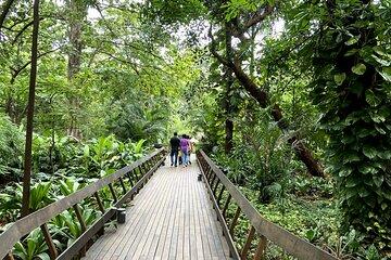 Fragrance Walk and Botany of Ancient Texts Tour