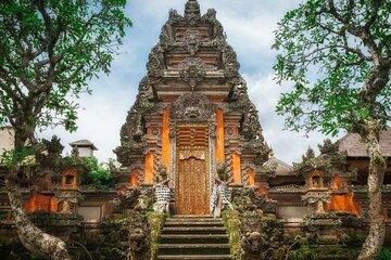 Private Bali Day Trip Adventure
