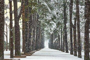 Winter Wonder in Mt.Seorak Nami Island and Eobi Ice Valley Tour