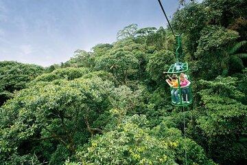 Rain Forest Adventure Full Day Tour from San Jose
