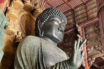 From Osaka: Private Nara Tour by Train with Hotel Meet-Up