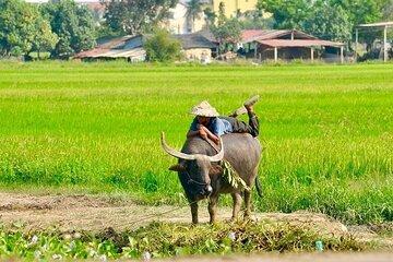 Hoi An Vespa Tour: Explore Famous Highlights & Hidden Gems