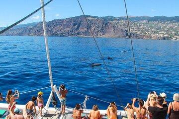 Shared Group Catamaran Trip to Madeira Islands