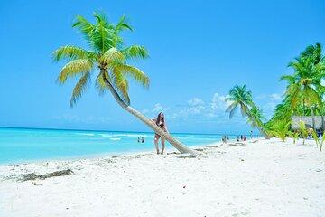 Saona Island Tour with Lunch and Open Bar