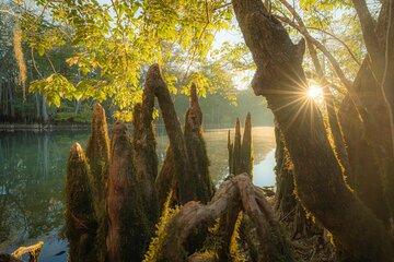 Private Panama City Beach Photo Excursion