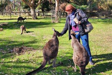 Premium Adelaide Hills Day Tour - Cruise Only