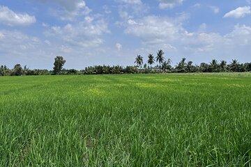 Cu Chi Tunnels and Mekong Delta Eco Trip