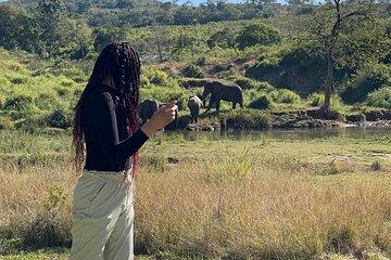 5 Day Mpumalanga Adventure Caves Canyon and Wildlife Tour