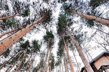 Charyn Canyon and Kolsai Lake Day Adventure from Almaty