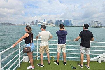 5 Star Half Day Tour with Open Top Ferry Islands Cruising