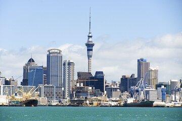 Auckland Highlights Half Day City Adventure