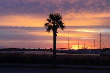 Private Walking Tours of Historic Charleston