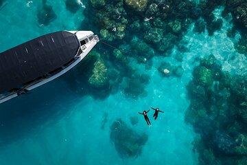 Great Barrier Reef Snorkelling Adventure