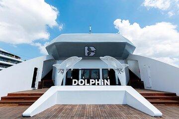Luxury Dolphin Cruise in Ha Long Bay – Buffet Lunch, Pool & Party