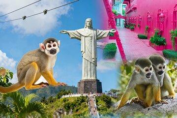 Puerto Plata City & Monkey Encounter Combo Tour