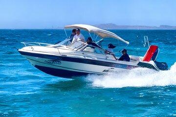 Private Whale Shark Snorkeling Activity in La Paz