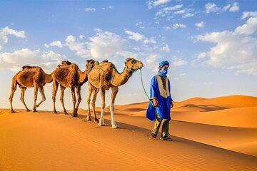 Discover Merzouga in 3 Days Camel Trek and Berber Camp Experience