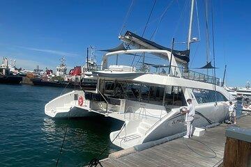 Day Sail Eco Ocean Safari (Hotel Pickup & Dropoff incl) CAPE TOWN