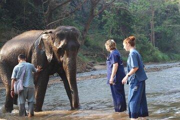 Combo Tour in Sticky Waterfall and Angle Land Elephant Sanctuary