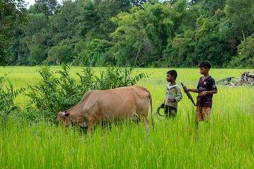 15 Day Cambodia Journey Culture Heritage and Coastal Adventures