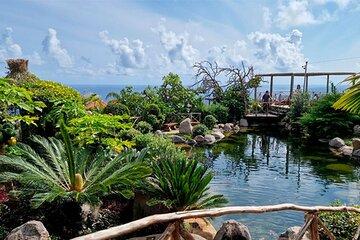 Madeira Private Half-Day Tour Bird's Island