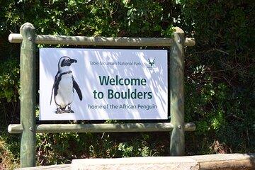Cape of Good Hope, Penguins and Chapman's Peak full day tour