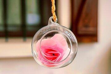 From Roses to Mountains, Agros - Pelendri- Nature Tour