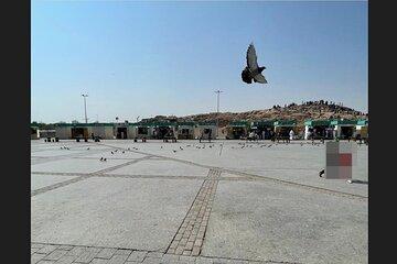 2 Hour Private Islamic Historical Tour of Madinah