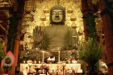 Todai-ji Temple & Nara Sake Tasting Walking Tour