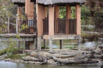 Madagascar Day Tour Lemurs Park and Croc Farm from Antananarivo