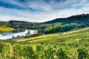 Schengen Wine Heritage and Beaufort Castle Private Tour