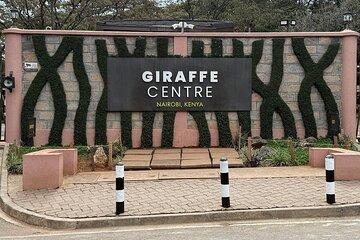 Giraffe Centre visit Nairobi